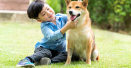 A well-trained dog obediently sitting beside the child of its owner, showcasing the success of dog obedience training.