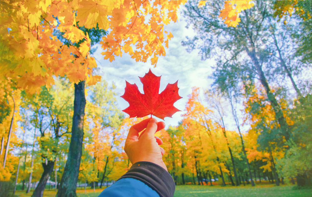 Canada Immigration Visa Requirements