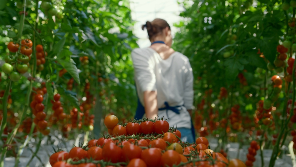Farm Worker Jobs in Canada with Visa Sponsorship