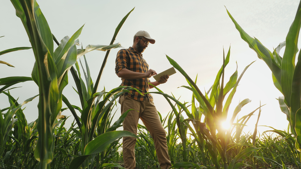 Farm Worker Jobs in Canada with Visa Sponsorship